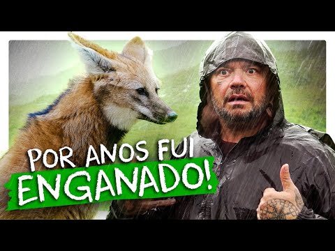A MENTIRA DO LOBO GUARA! | RICHARD RASMUSSEN