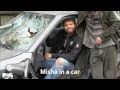 The Misha Song 