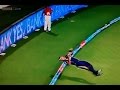 Unbelievable Catches || Incredible Cricket Players.