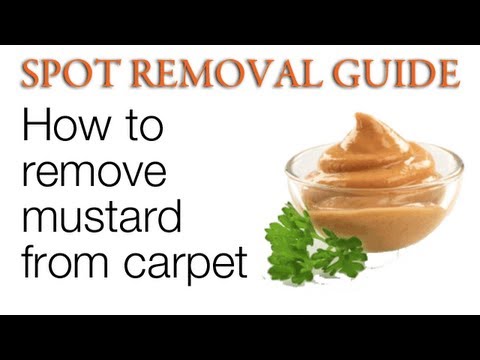 How to remove mustard stains from Carpet | Spot Removal Guide