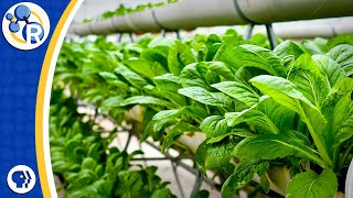 Vertical Farming