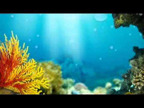 Música para relajación - Descanso - Meditación - Reiki - Yoga - Tai Chi