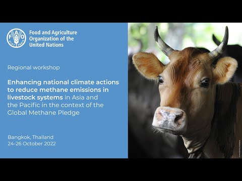 Voices of livestock and climate change stakeholders in Asia and the Pacific