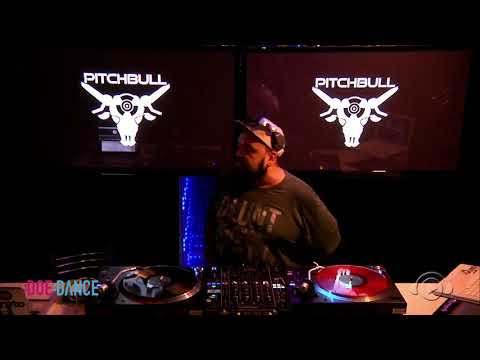 download lagu mp3 mp4 Pitchbull, download lagu Pitchbull gratis, unduh video klip Pitchbull
