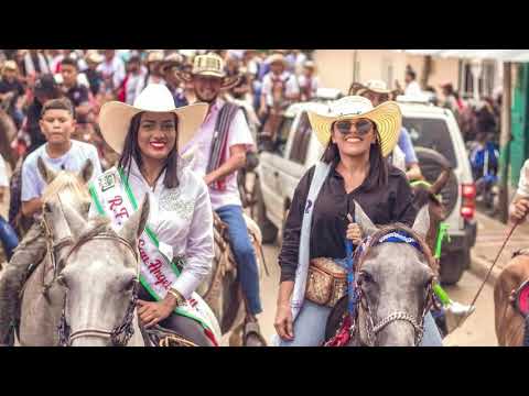GOBERNACIÓN DE BOLÍVAR SIEMBRA ALEVINOS; Y GOBERNACIÓN DE SUCRE IMPULSA ENERGÍA SOLAR