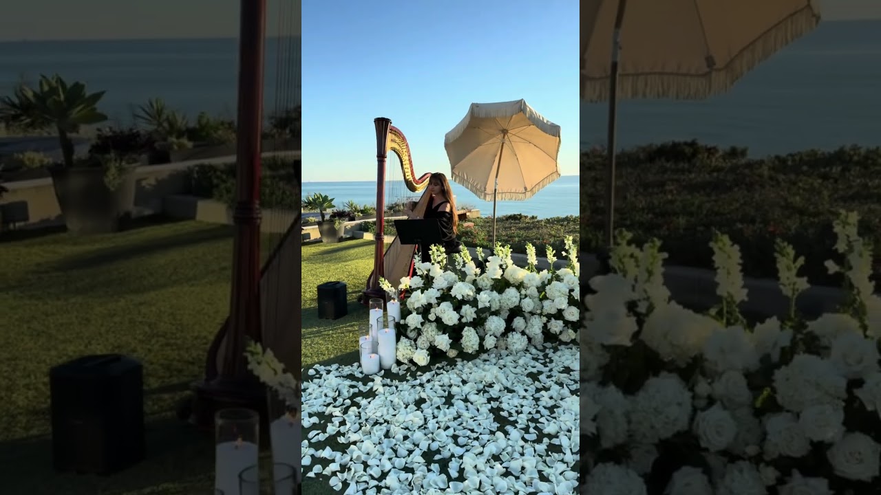 Promotional video thumbnail 1 for Alaina Stark, Harpist
