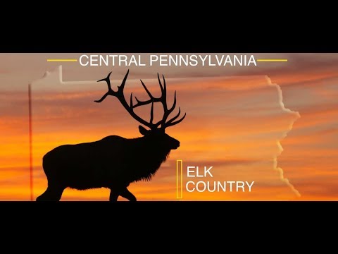 766 Acres of Elk Habitat Now Open to the Public in Pennsylvania!