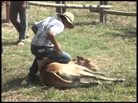 ESTE ES MI LLANO   ARTE DIGITAL ARAUCA 3187970134