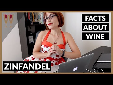 download lagu mp3 mp4 What Is Zinfandel Good With, download lagu What Is Zinfandel Good With gratis, unduh video klip What Is Zinfandel Good With