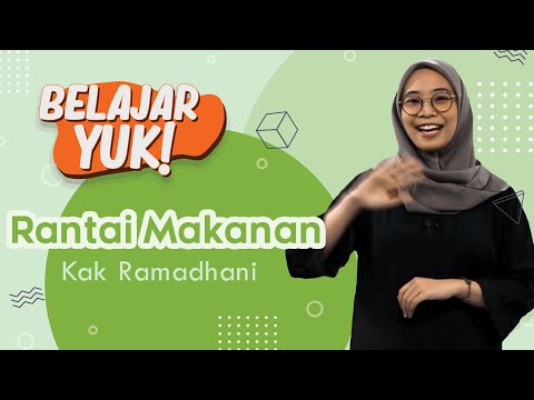 Siapa Saja Aggota Rantai Makanan? | Belajar Yuk! Tentang Rantai Makanan
