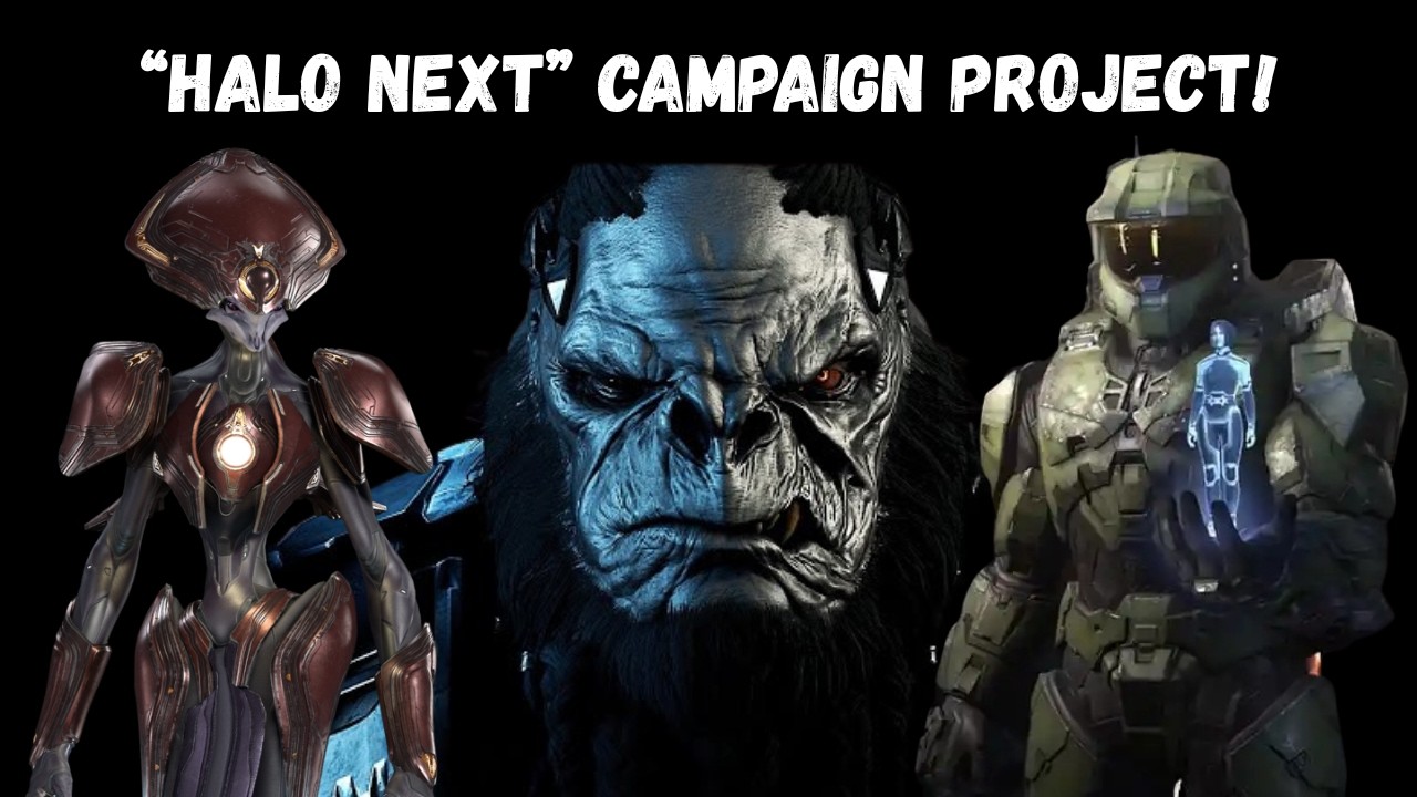 The 