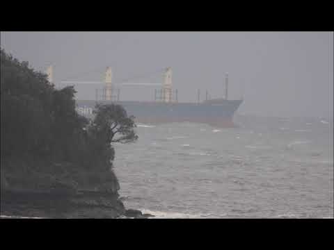 Broken container ship off Cronulla