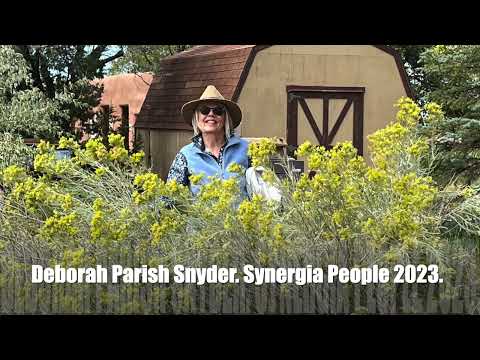 Deborah Parrish Snyder (Tango). Synergia People 2023.