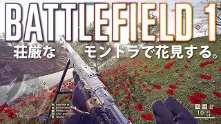 【BF1】荘厳なモンドラで花見する。【実況】