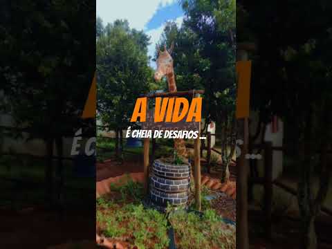 escola da terra.cidade ocidental.GO