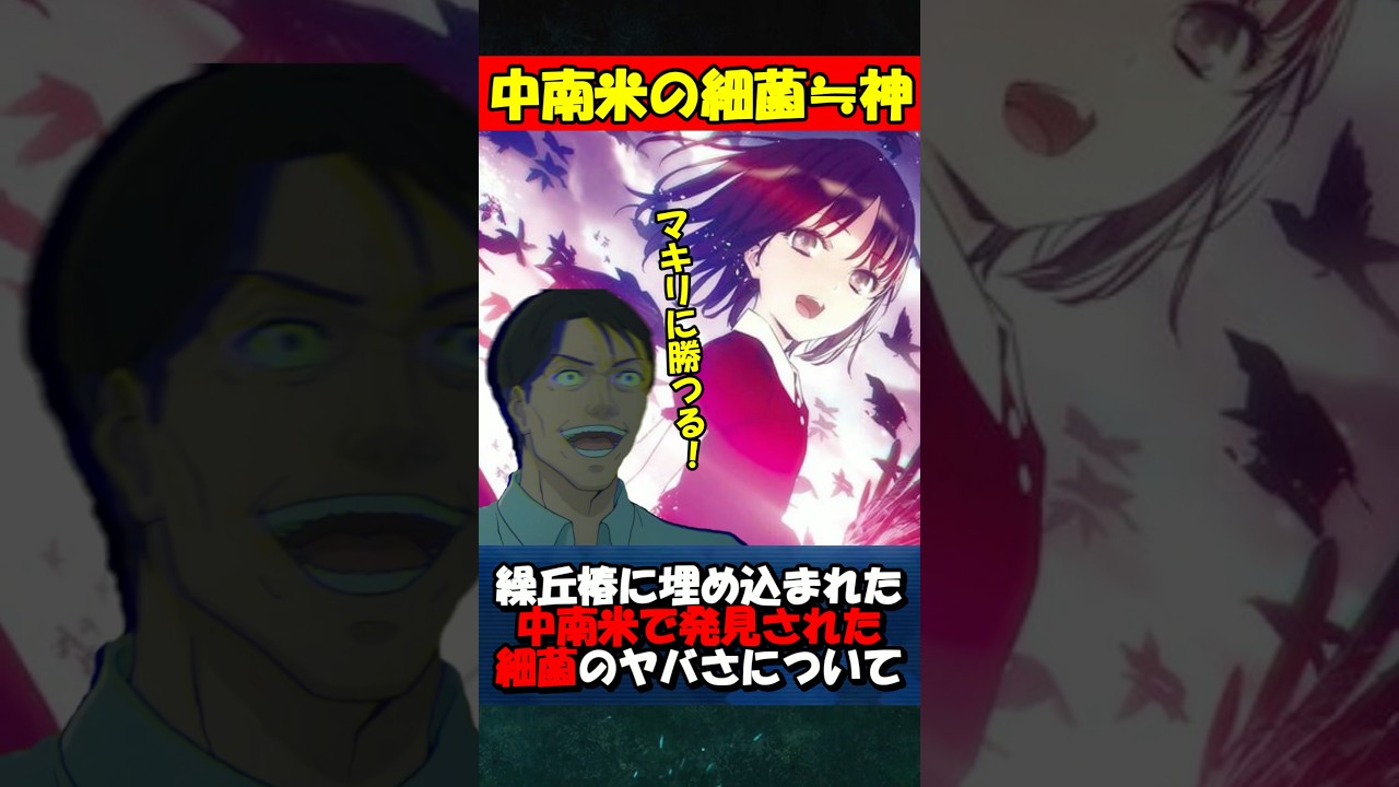 【Fate】椿に埋め込まれた中南米の細菌が神でヤバい #fgo #fate #strange Fake #shorts