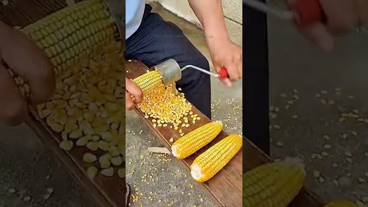 Watch Como desgranar un maíz elote de manera facíl Now Como desgranar un maíz elote de manera facíl