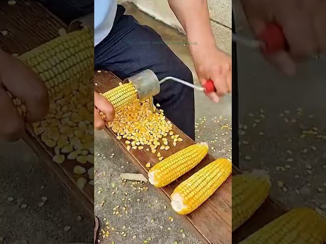 Vídeo relacionado con Recambio de pulidoras de cubiertos de mazorca de maíz