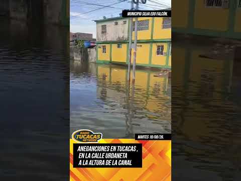 aneganciones en tucacas municipio Silva Edo Falcón #18agosto2026