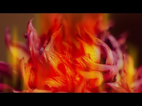 Movement Machina - The Flame [Silk Music]