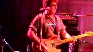 Little Sally Tease - The Standells