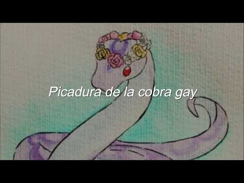 Picadura de la cobra gay (Letra)