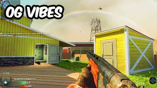 Why is Black Ops 1 Still Alive in 2025 (COD Plutonium)