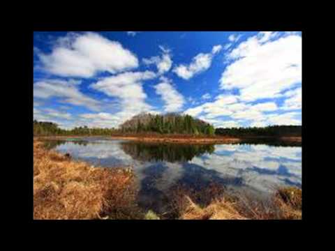 relaxzation video clip