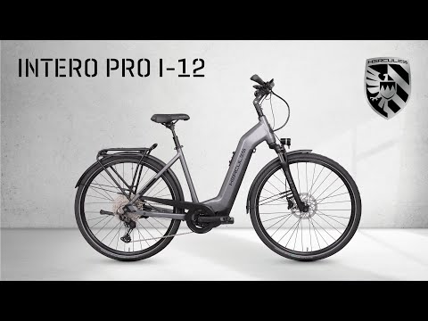 Hercules Intero Pro I-12