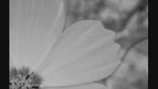 Amel Larrieux-Infinite Possibilities