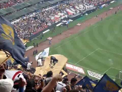 "Las gallinas son Así   Gol - america vs pumas" Barra: La Rebel &bull; Club: Pumas
