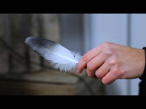 Cage - Phantom Head