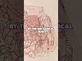 The HORRIFYING REALITY Of DREADNOUGHTS Warhammer Warhammer40k Lore Explained