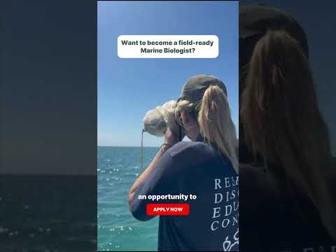 Shark & Dolphin Field-based Research & Conservation Training — video
