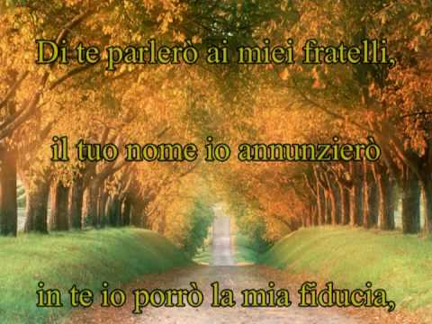 download lagu mp3 mp4 Grazie Signore, download lagu Grazie Signore gratis, unduh video klip Grazie Signore