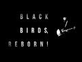 The Royal Crows - Black Birds Reborn live studio recording
