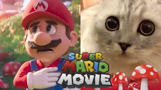 【The Super Cat Bros】#teaser #2023