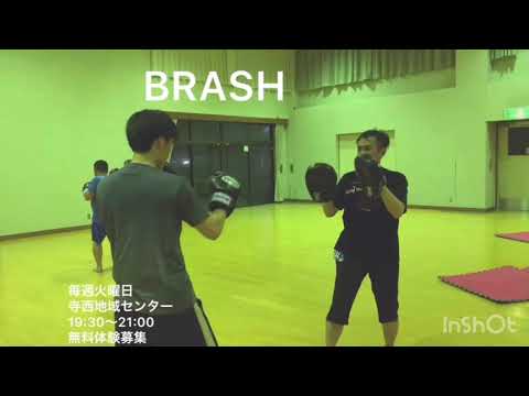 BRASH PV①フィットネスジム 体幹トレーニング ボクササイズ ミット打ち 総合格闘技