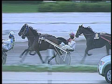 Trotto 11/10/2016 - 5ª corsa