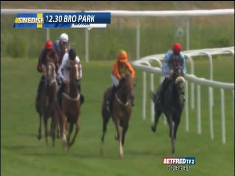 SWEDEN    BRO PARK  12.30