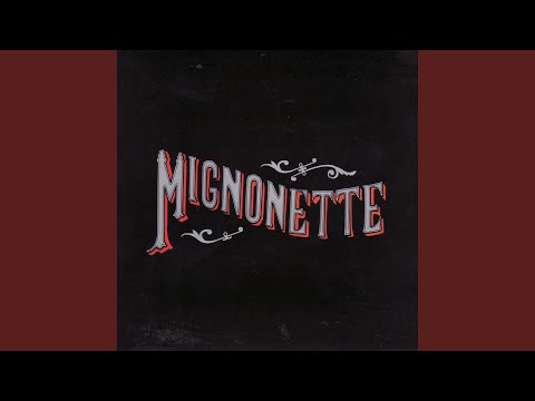 One Line Wonder - The Avett Brothers