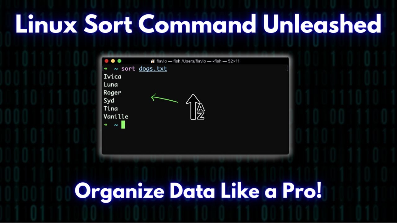 Linux Sort Command: The Ultimate Guide to Sorting Data like a Pro!