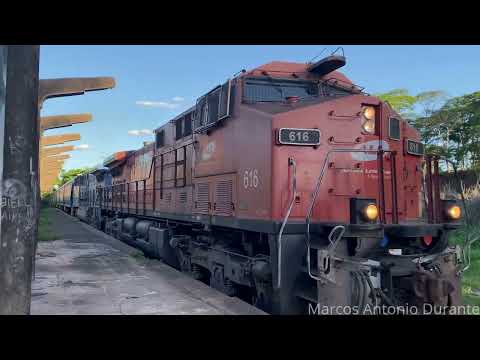 Trem da Rumo só com vagões novos, passando pela estação de Fernando Prestes-SP em 10/11/ 2.024