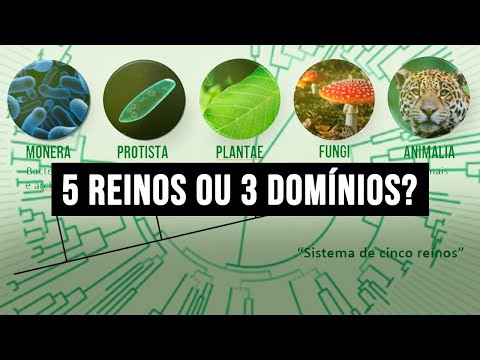 Classificação dos Seres Vivos: 5 Reinos ou 3 Domínios? — Aula de Biologia 4