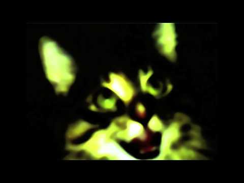 Venetian Snares - Songs About My Cats (Full Album)