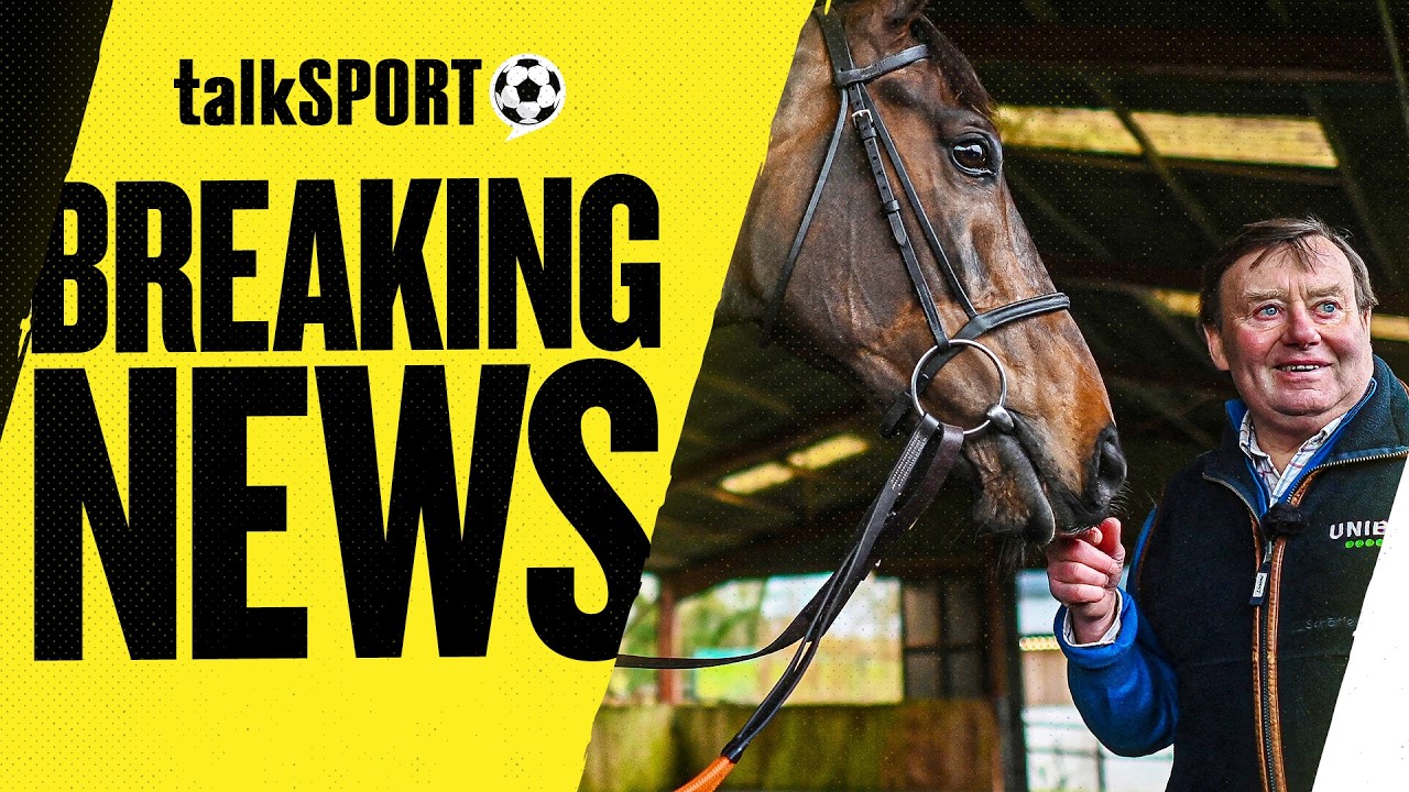 talkSPORT REACTS to Constitution Hill being RULED OUT of the Cheltenham Festival!