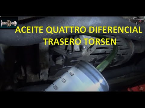 AUDI A4 Quattro drive oil replace. Final group or rear differential. Torsen.