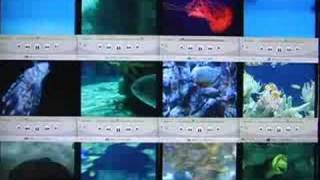 Kelley Polar -"Entropy Reigns" (remix)