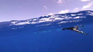 イルカを見るために水深1000メートルを追いかけてイルカ見れなくて無駄に疲れた動画