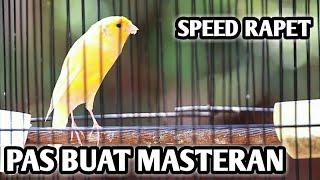 Download lagu Masteran Kenari Untuk Murai Batu... mp3